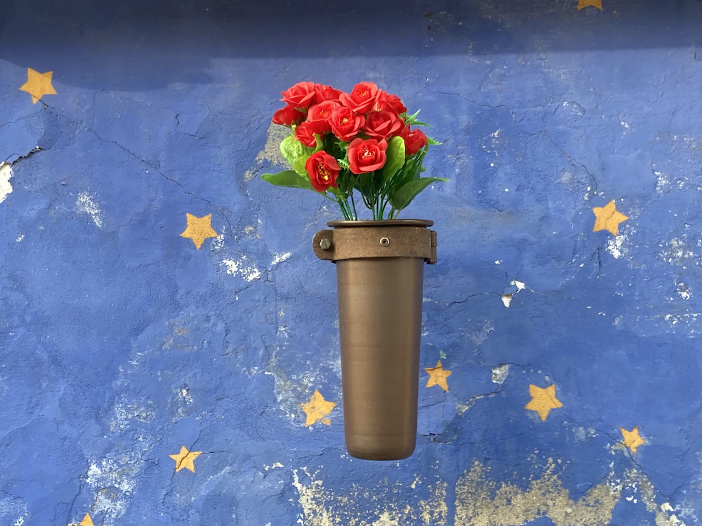 Rosen vor Sternenhimmel